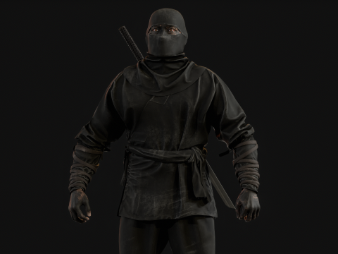 ClassicNinja Model 3D