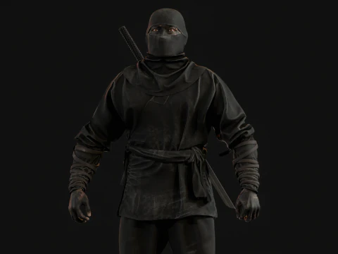 ClassicNinja 3D Model