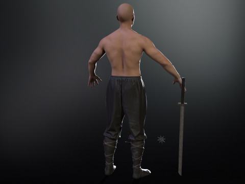ClassicNinja Model 3D