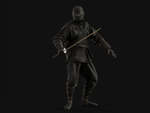 ClassicNinja Model 3D