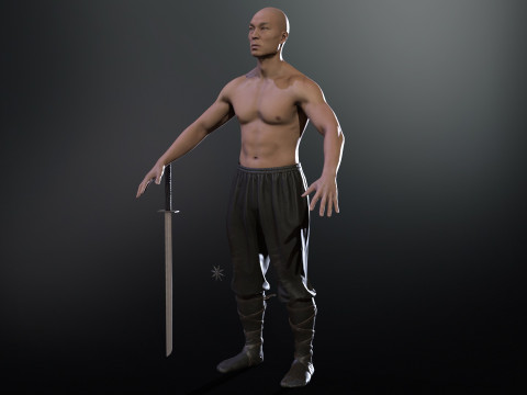 ClassicNinja Model 3D