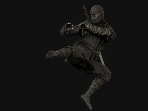 ClassicNinja Model 3D