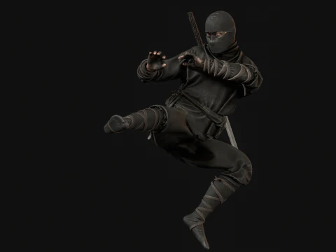 ClassicNinja 3D Model