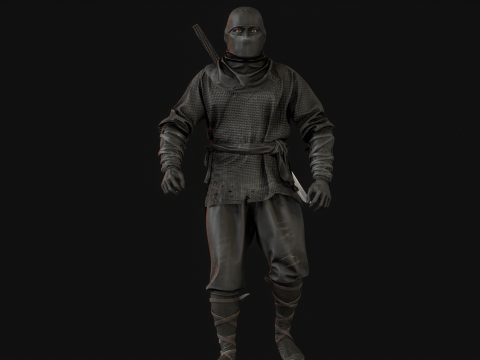 ClassicNinja Model 3D