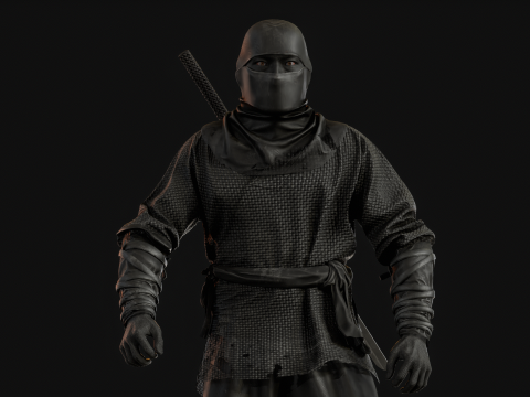ClassicNinja Model 3D