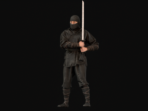 ClassicNinja Model 3D