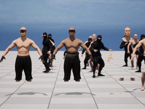ClassicNinja Model 3D