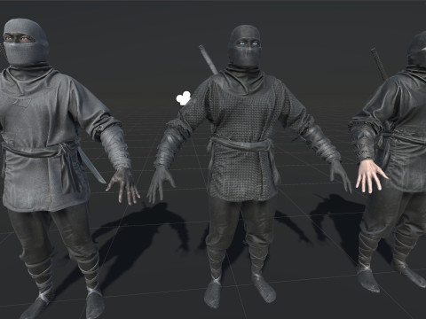 ClassicNinja Model 3D