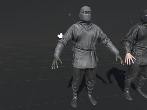 ClassicNinja Model 3D