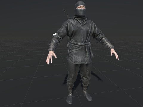 ClassicNinja Model 3D