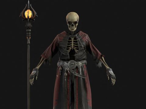 Skeleton ArchMage 3D Model