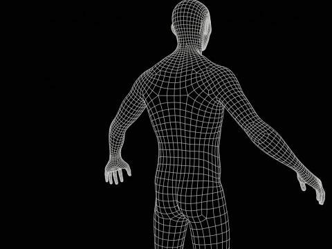Asian Man 3D Model