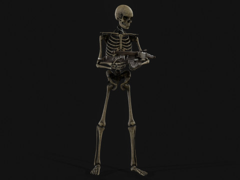 Skeleton Crossbowman 3D Model