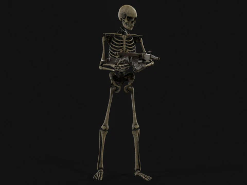 Skeleton Crossbowman 3D Model