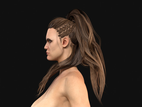 1BarbarianGirlHair 3D Model