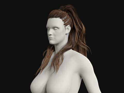 1BarbarianGirlHair 3D Model