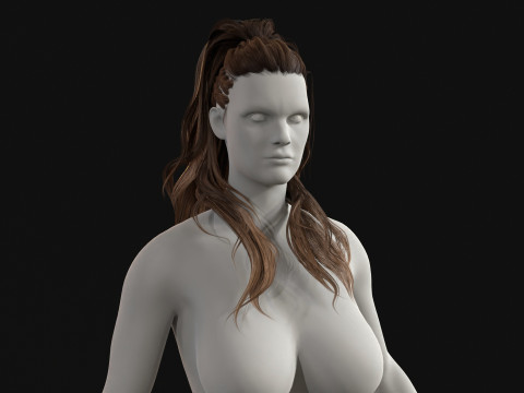 1BarbarianGirlHair 3D Model
