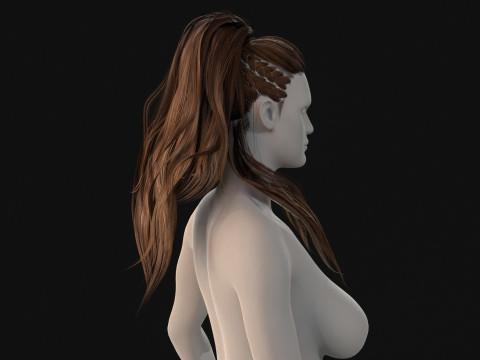 1BarbarianGirlHair 3D Model