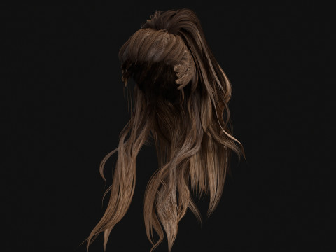 1BarbarianGirlHair 3D Model