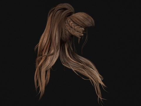 1BarbarianGirlHair 3D Model