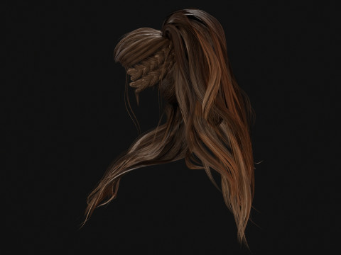 1BarbarianGirlHair 3D Model
