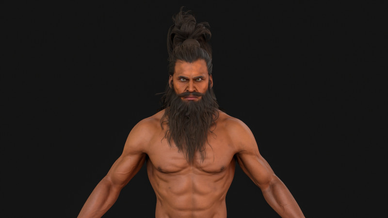 2ManHairBeard 3D Model .c4d .max .obj .3ds .fbx .stl .blend 
