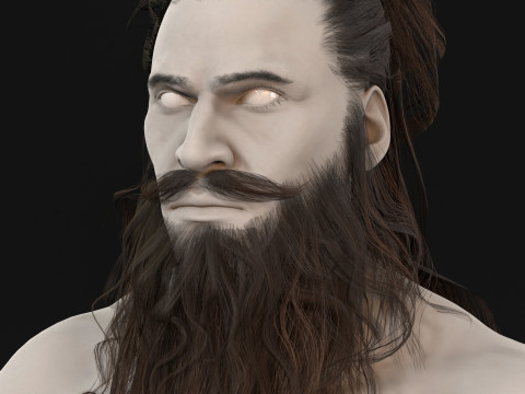 2ManHairBeard 3D Model