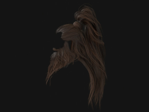 2ManHairBeard 3D Model