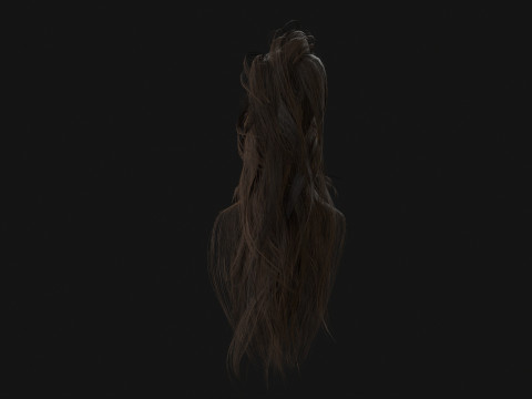 2ManHairBeard 3D Model