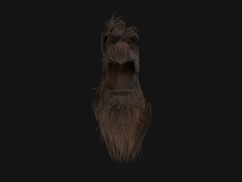 2ManHairBeard 3D Model