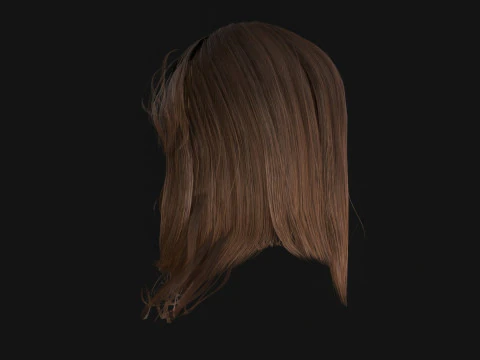 3Woman Long Kare 3D Model