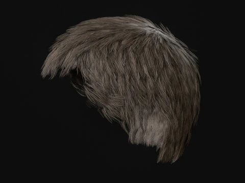 4Man Short Hair 3D Model