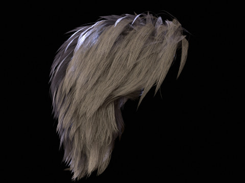 5महिला छोटे बाल 3D मॉडल