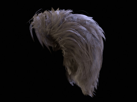 5महिला छोटे बाल 3D मॉडल