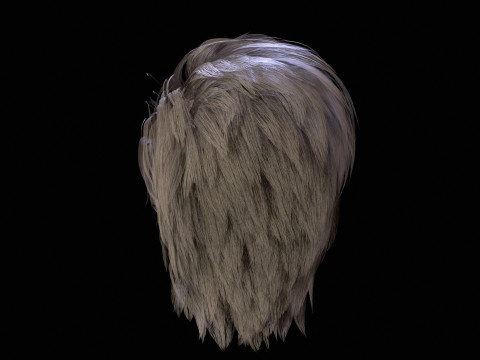 5महिला छोटे बाल 3D मॉडल