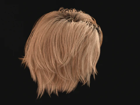 6Woman Short Hair2 3D Model