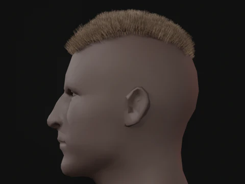 7Man buzzcut Hair 3D Model