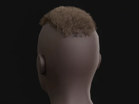 7Man buzzcut Hair 3D Model