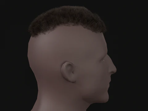 7Man buzzcut Hair 3D Model