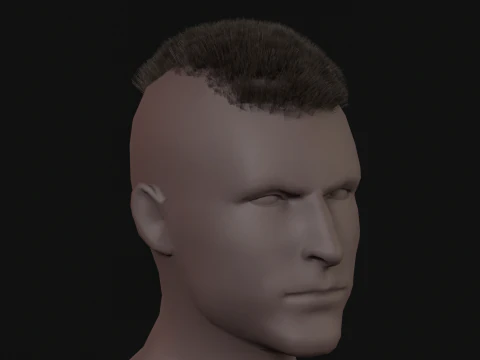 7Man buzzcut Hair 3D Model