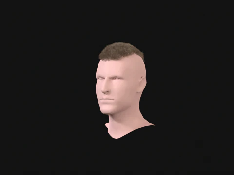 7Man buzzcut Hair 3D Model
