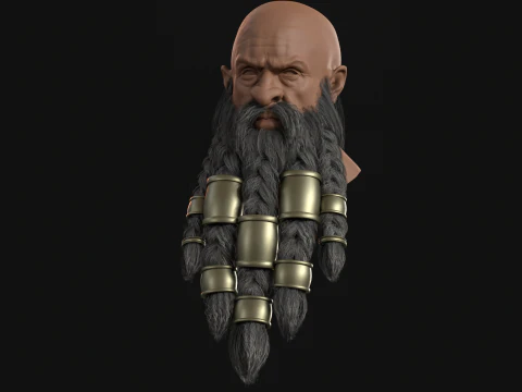 9 janggut kerdil Model 3D