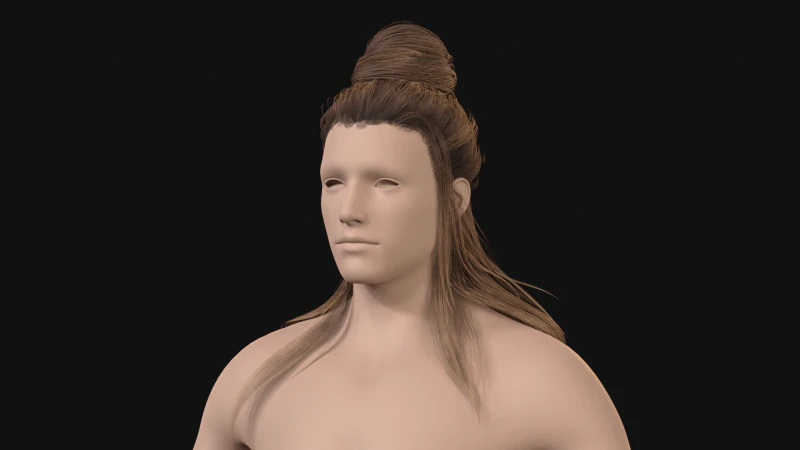 10Indian Hair 3D Model .c4d .max .obj .3ds .fbx .stl .blend 