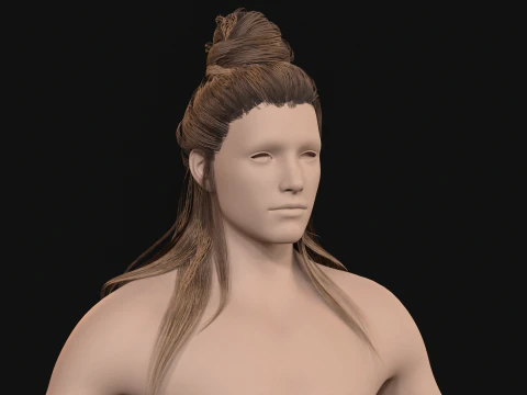 10Indian Hair 3D Model