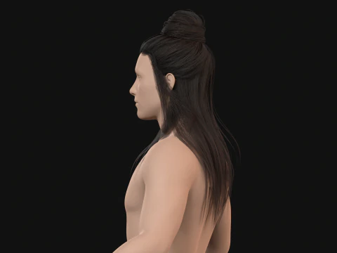 10Indian Hair 3D Model