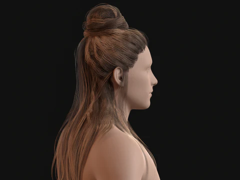 10Indian Hair 3D Model