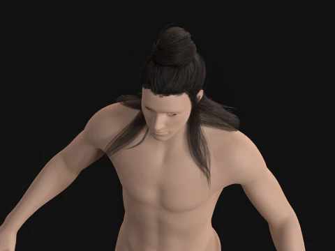 10Indian Hair 3D Model