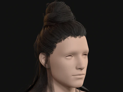 10Indian Hair 3D Model