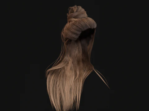 10Indian Hair 3D Model