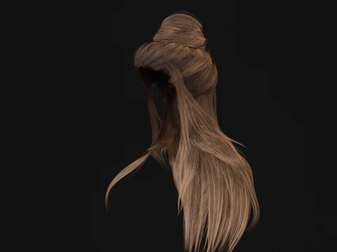 10Indian Hair 3D Model